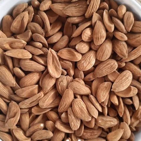 بهترین مغز بادام کوهی + قیمت خرید عالی